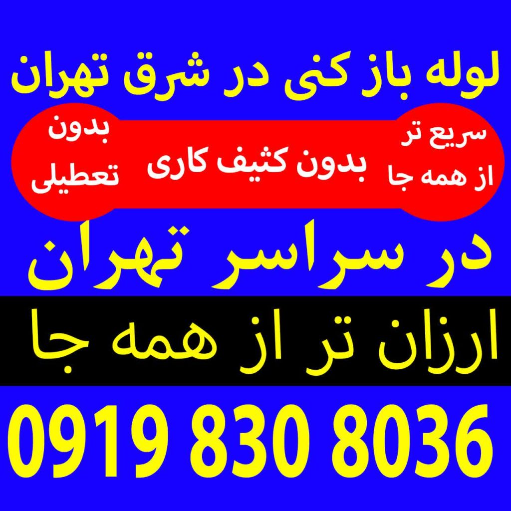 خدمات لوله بازکنی پردیس